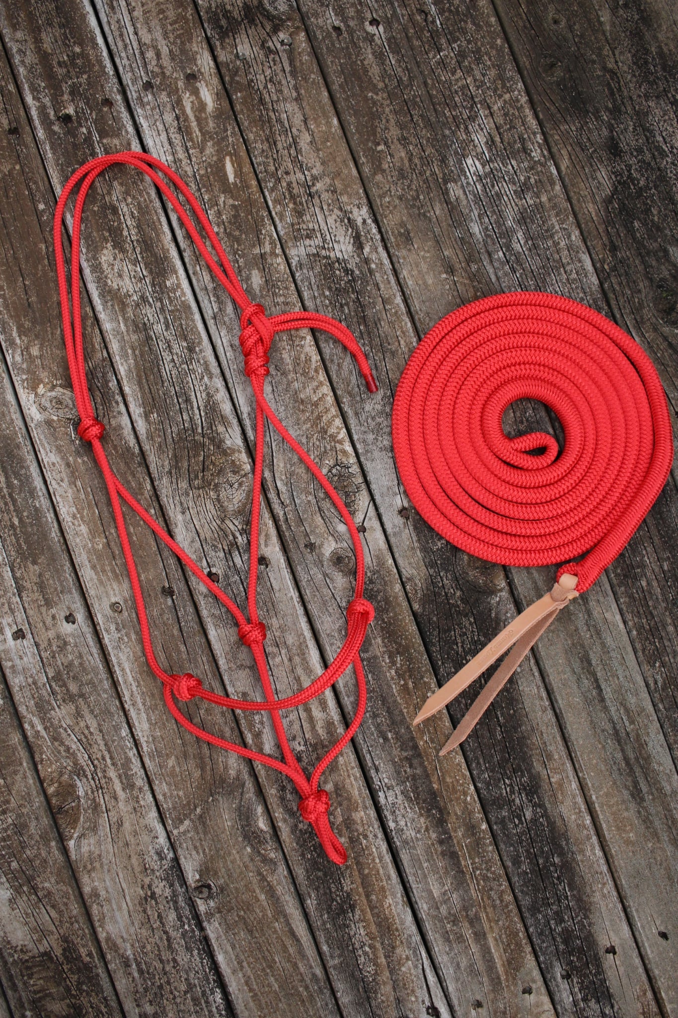 Red Rope Halter & Lead Set (Full)