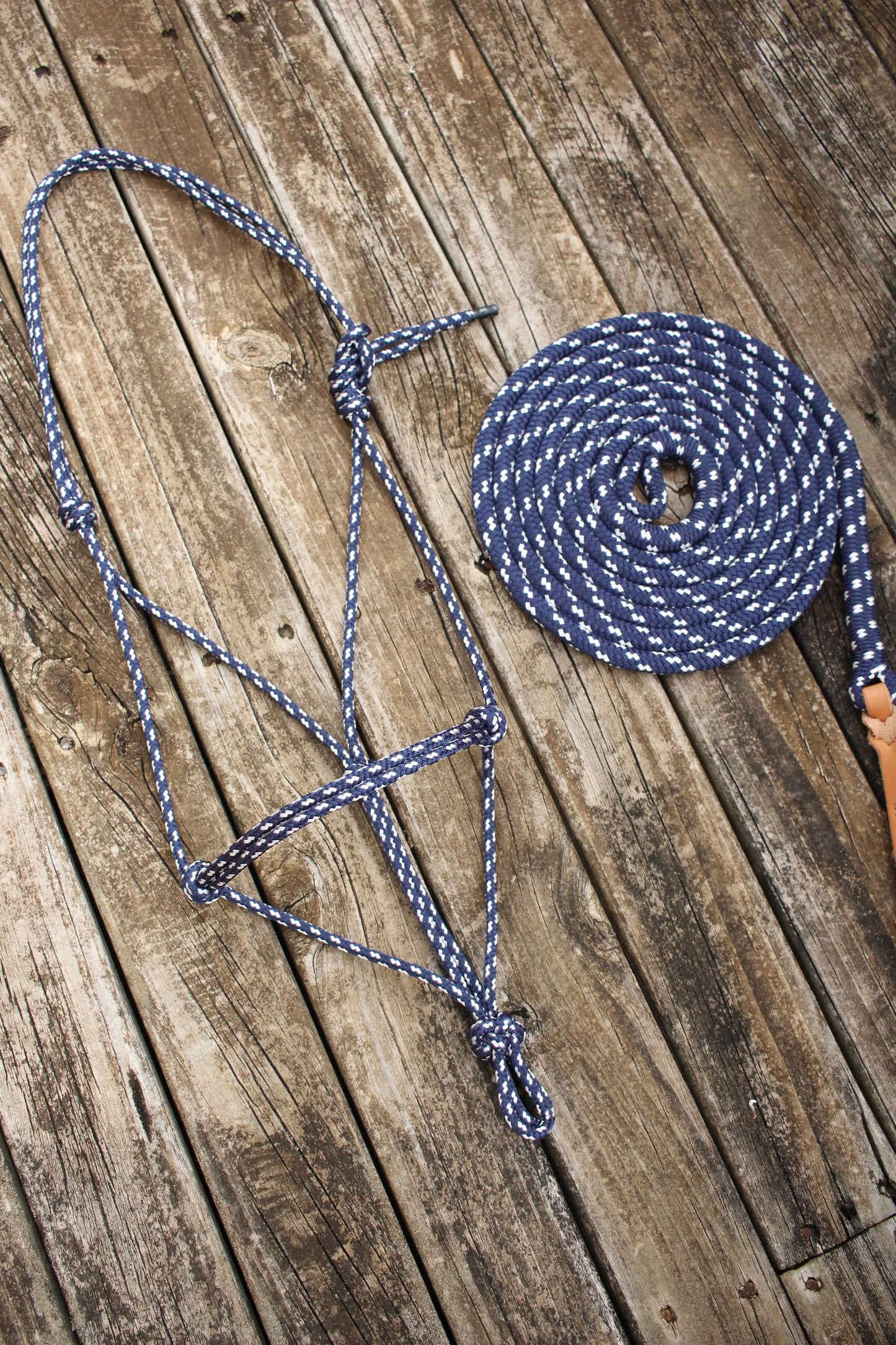 Navy/White Rope Halter & Lead Set