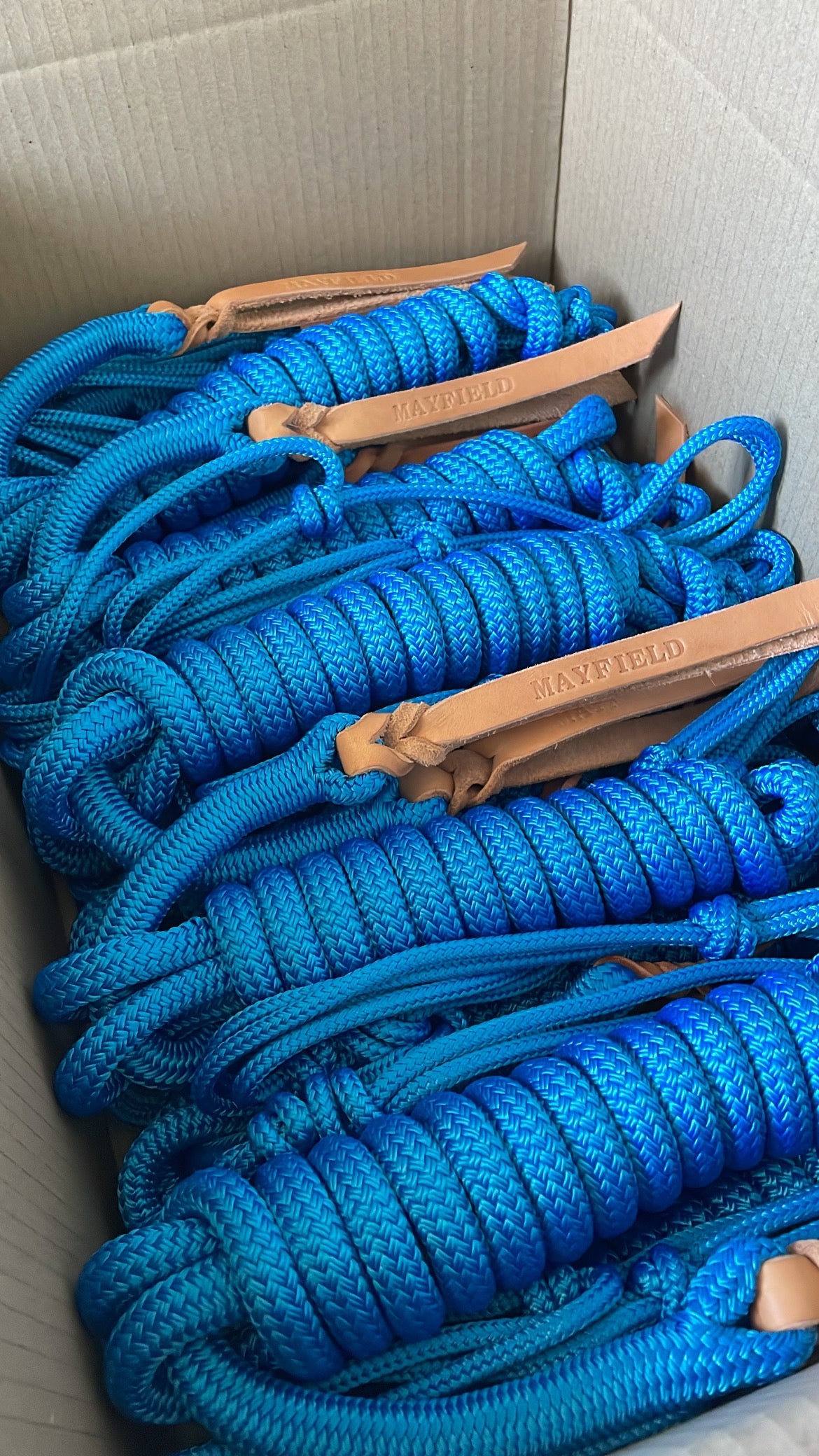 Blue Rope Halter & Lead Set (Full)
