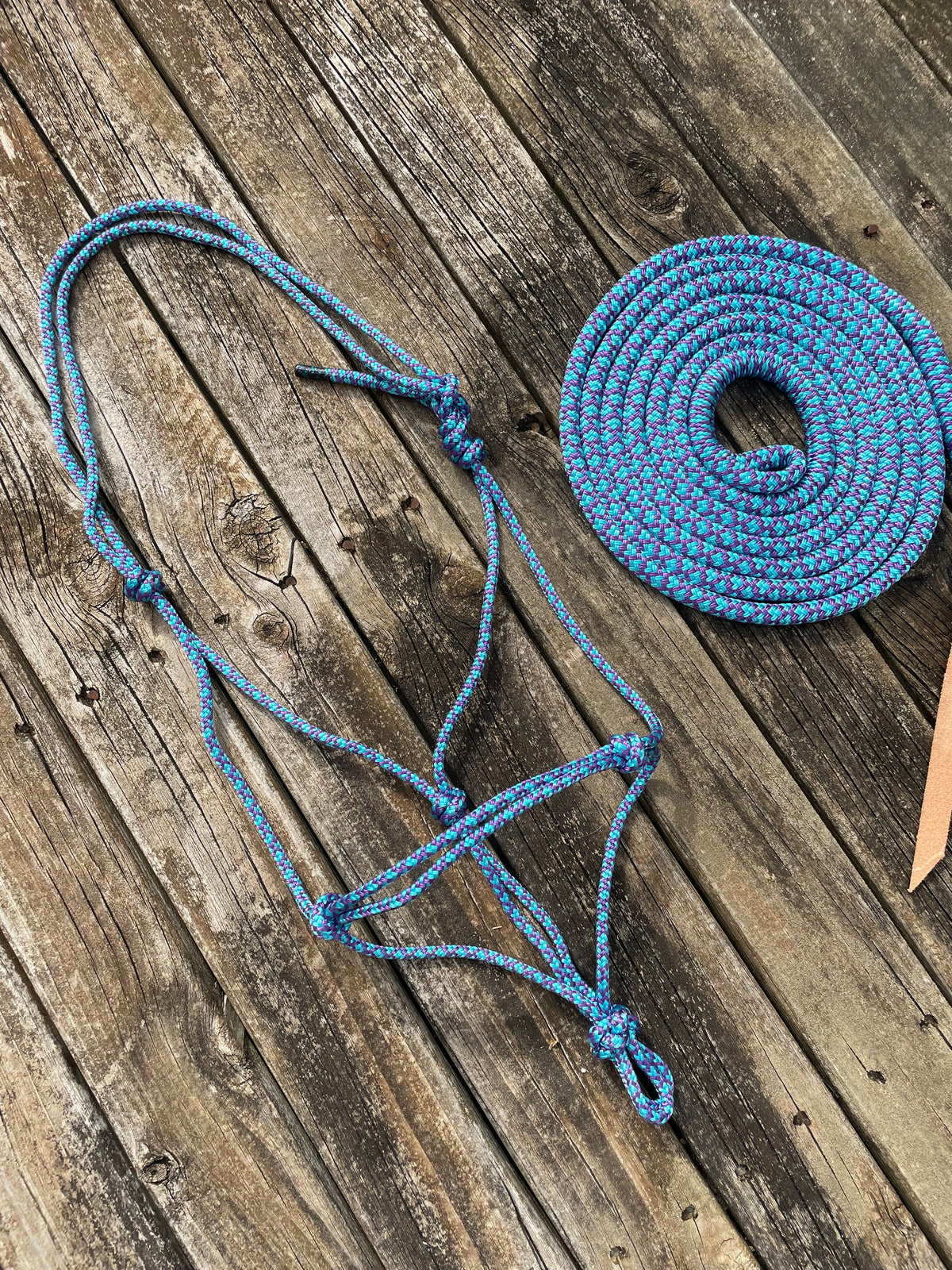 Blue/Purple Rope Halter & Lead Set (Full)