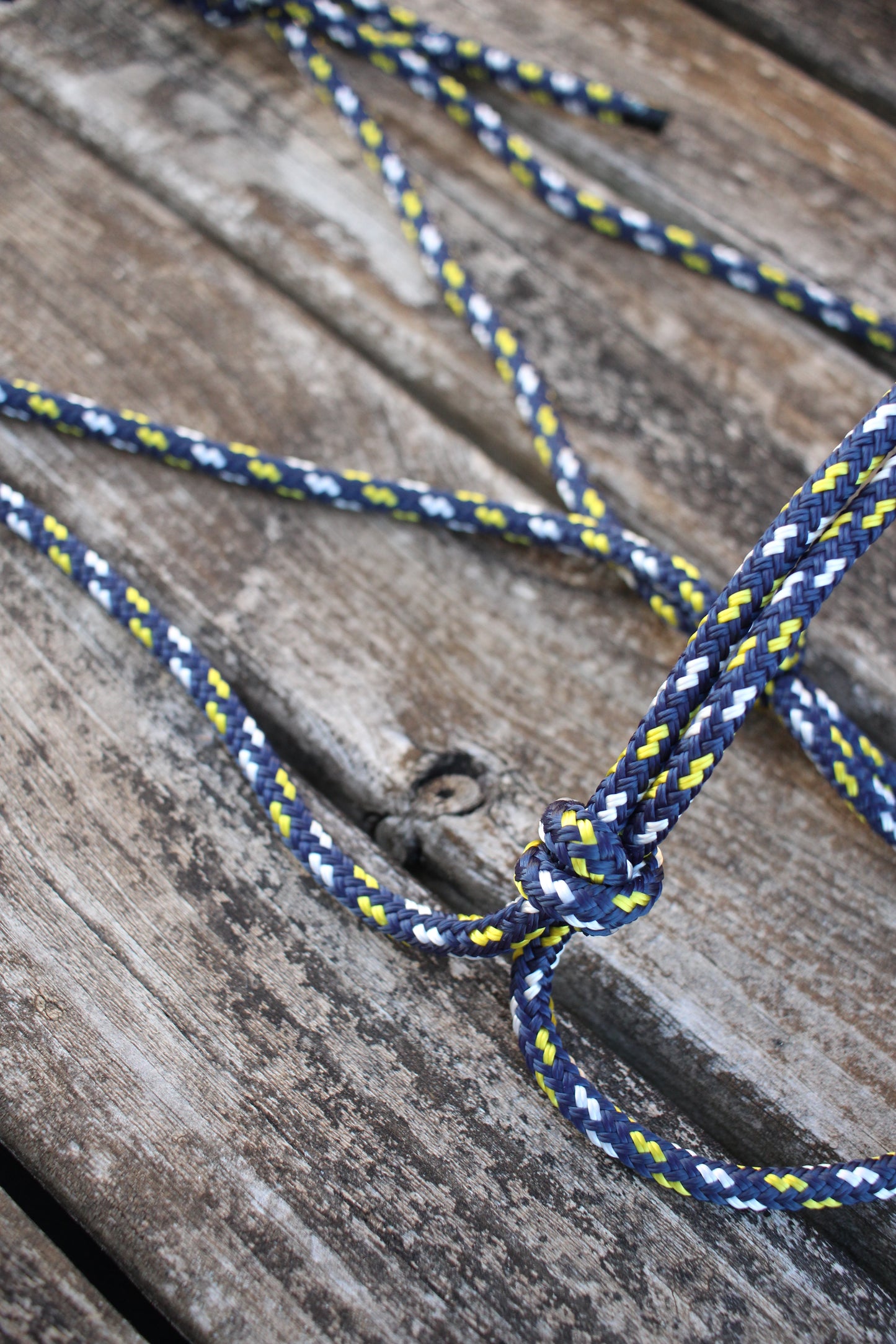 Blue/White/Yellow Rope Halter & Lead Set (Full)